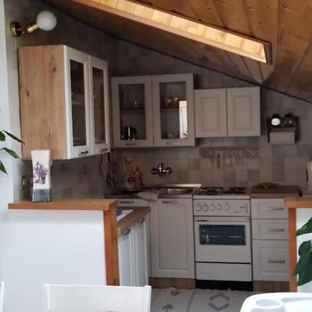 Apartment Gaudeamus Umag Buitenkant foto